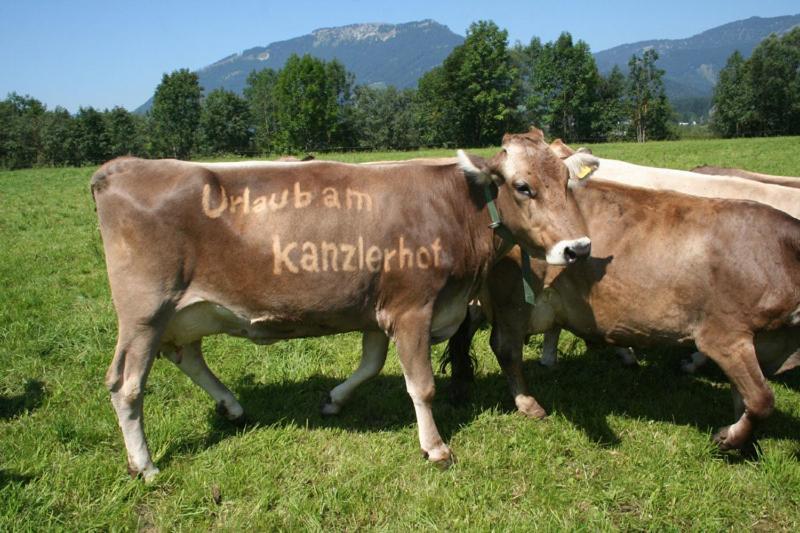 Kanzlerhof Бад-Міттерндорф Екстер'єр фото